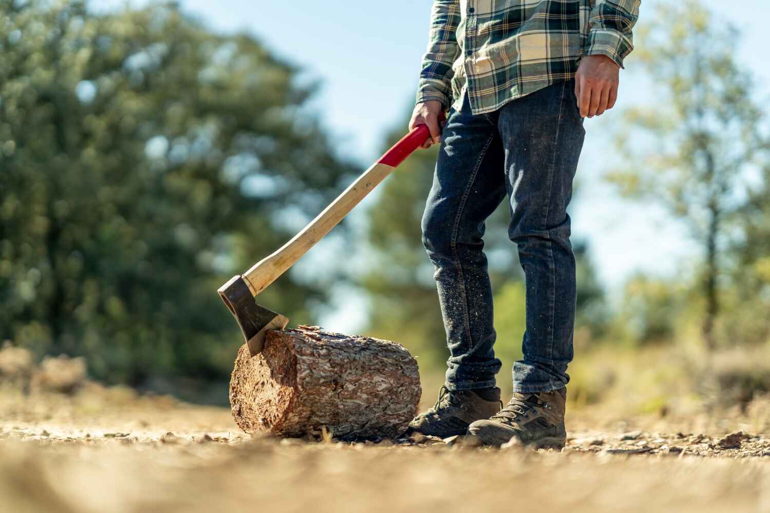 Best Emergency Storm Tree Removal  in Alvarado, TX